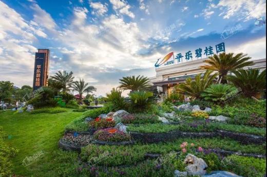 平乐碧桂园实景图